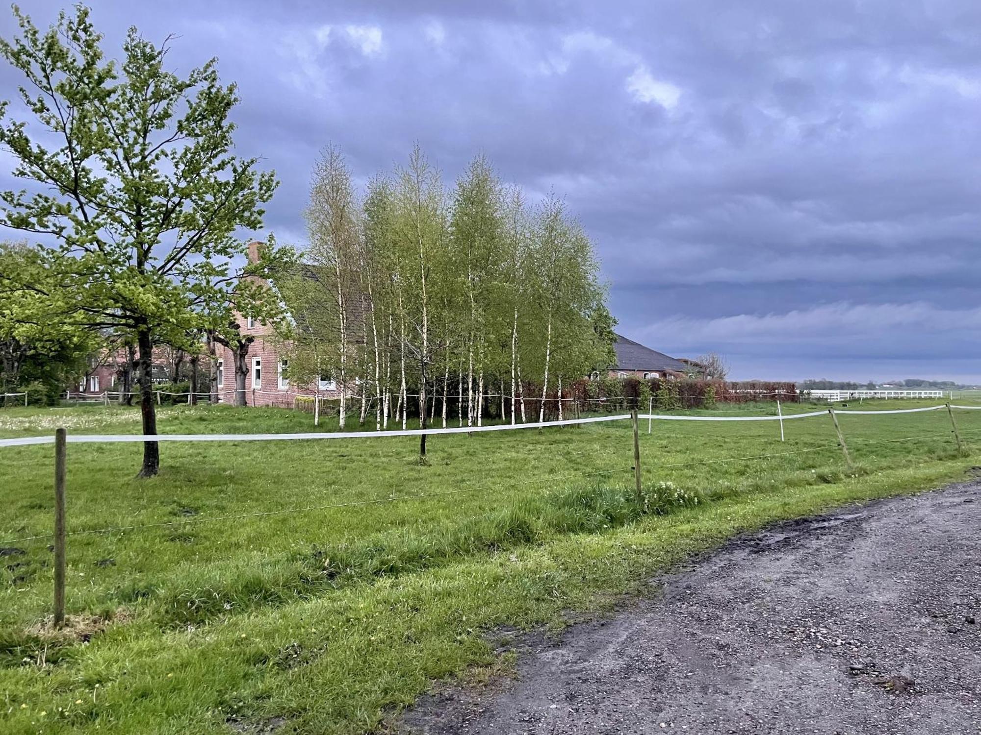 Steinhaus Hof Villa Bunde  Eksteriør bilde